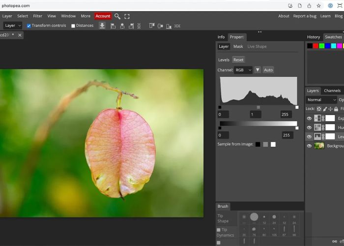 Best Photo Editing Tools of 2024: GIMP, Photopea, and More